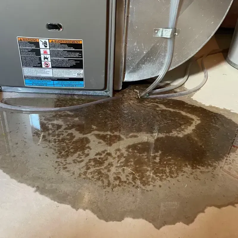 Appliance Leak Cleanup in Ocean Acres, NJ